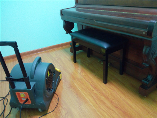 摩登花儿艺术学校除甲醛